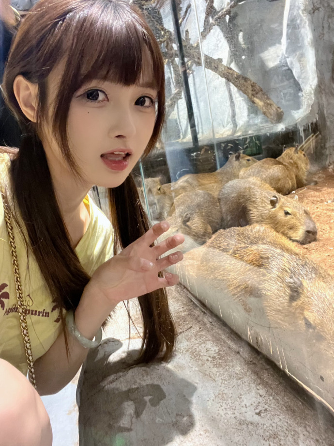 伯德小姐