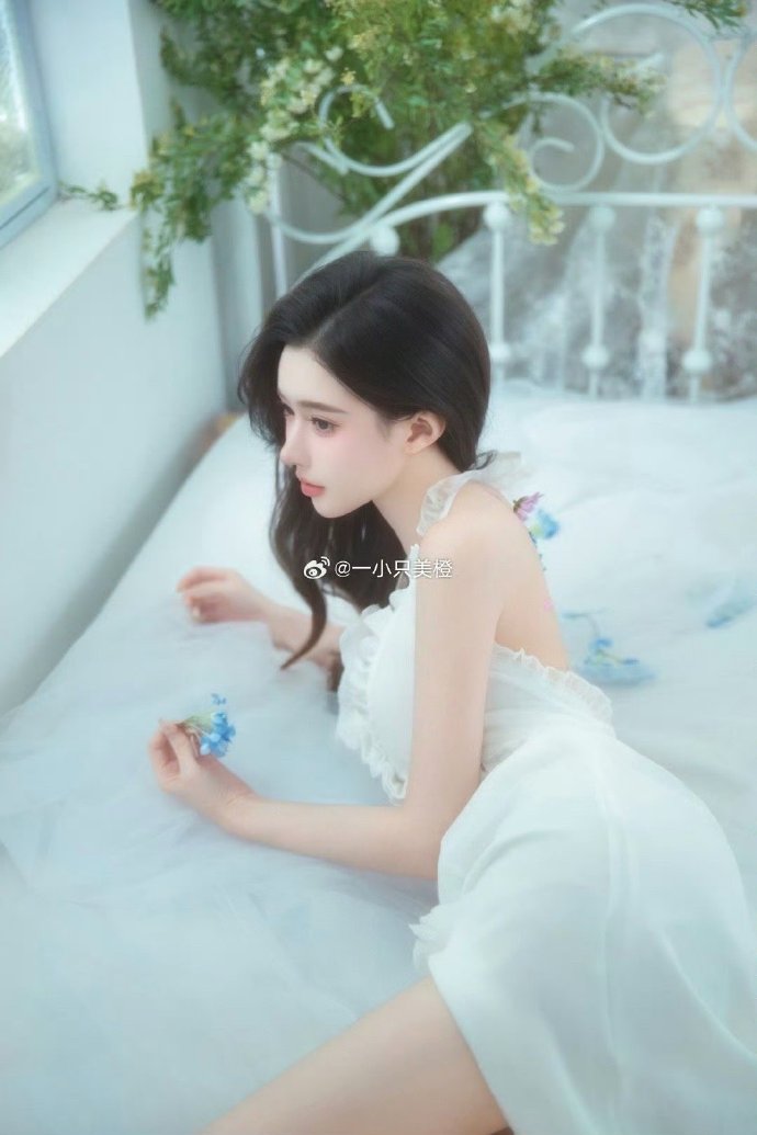 我的阿勒泰 封面